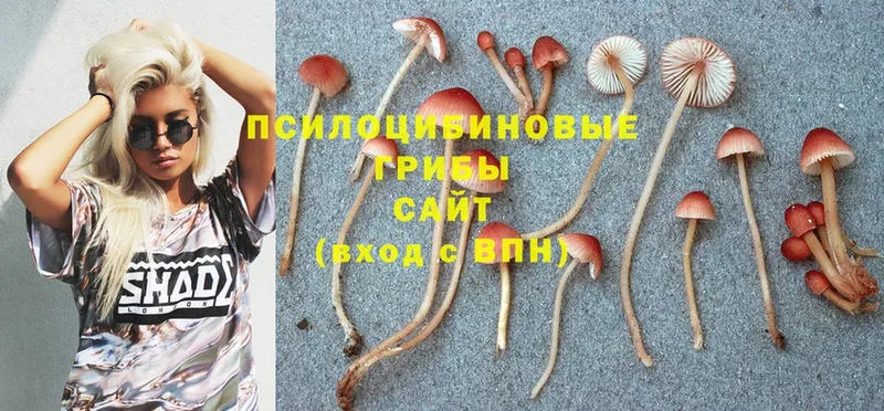 Псилоцибиновые грибы GOLDEN TEACHER  KRAKEN как зайти  Городовиковск 